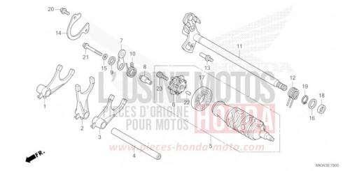 SCHALTTROMMEL (NC750XA) NC750XAP de 2023